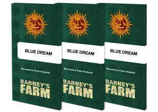 Barney’s Farm – Blue Dream (Feminized) - Image 2