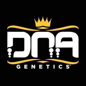 DNA Genetics – Lemon Skunk (Feminized)