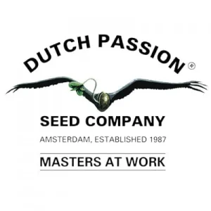 Dutch Passion – Orange Bud (Feminized)