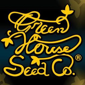 Greenhouse Seed Co. – Big Bang (Feminized)