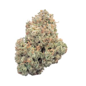Happy Valley Genetics – Pineapple Daddy Auto (Autoflower) - Image 2