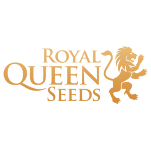Royal Queen Seeds - Astro Lemonade F1 (Feminized)