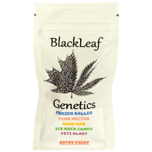 Black Leaf Genetics – Frozen Bag Multipack (Feminized) - Image 2