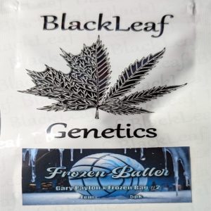 Black Leaf Genetics – Frozen Baller (Feminized)