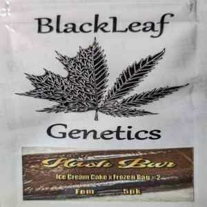 Black Leaf Genetics – Hash Bar (Feminized)