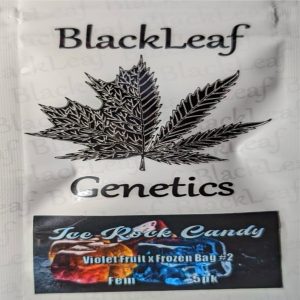 Black Leaf Genetics – Ice Rock Candy (Feminized)