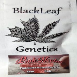 Black Leaf Genetics – Pink Nectar (Feminized)