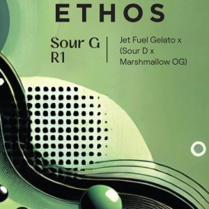 Ethos – Sour G R1 (Feminized)