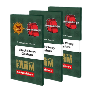 Barney’s Farm – Black Cherry Gushers (Feminized) - Image 2