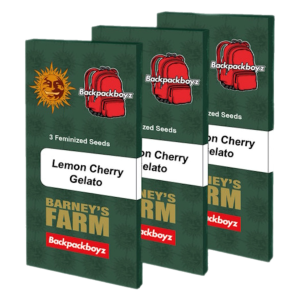 Barney’s Farm – Lemon Cherry Gelato (Feminized) - Image 2