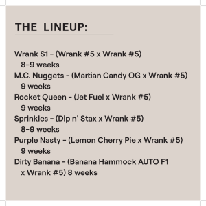 Ethos – Wrank Multipack (Feminized) - Image 2