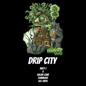 In House Genetics – Drip City (Feminized)