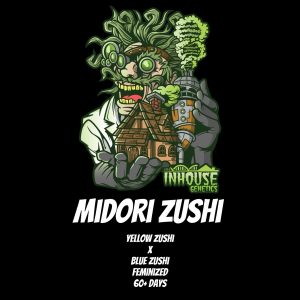 In House Genetics – Midori 44 (Gold Pack)(Feminized)