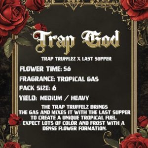 Solfire Gardens – Trap God (Feminized) - Image 2