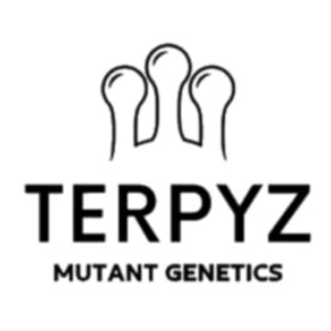 TerpyZ Mutant Genetics – Pink Nova (Regular M/F) - Image 2