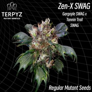 TerpyZ Mutant Genetics – Zen-X Swag (Regular M/F)