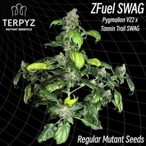 TerpyZ Mutant Genetics – Zfuel Swag (Regular M/F)