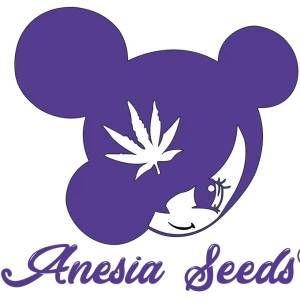 Anesia Seeds – Big Bazooka Auto (Autoflower) - Image 2