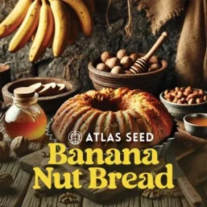 Atlas Seed – Banana Nut Bread (Feminized) - Image 2