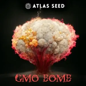 Atlas Seed – GMO Bomb  (Feminized) (Early/fast)