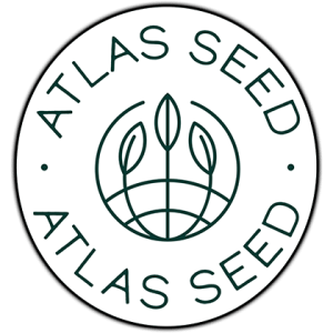 Atlas Seed – GMO  (Feminized) (Early/fast)