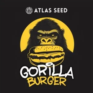Atlas Seed – Gorilla Burger (Feminized)