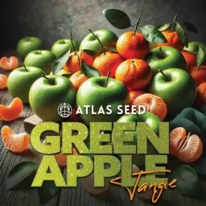 Atlas Seed – Green Apple Tangie (Feminized)