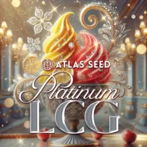 Atlas Seed – Platinum Lemon Cherry Gelato (Feminized)
