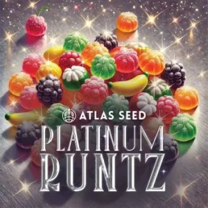 Atlas Seed – Platinum Runtz (Feminized)