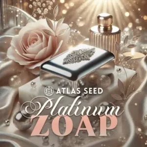 Atlas Seed – Platinum Zoap (Feminized)