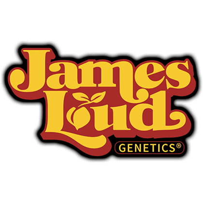 James Loud Genetics – Zuckerbombe (Feminized) - Image 2