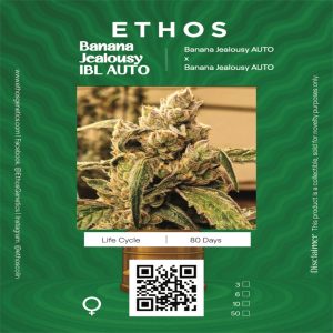 Ethos – Banana Jealousy IBL Auto (Feminized) (Autoflower)