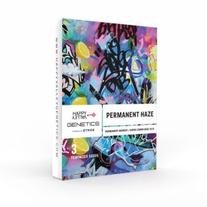 Happy Valley Genetics – Permanent Haze (Feminized)