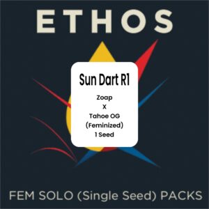 Ethos – Sun Dart R1 (Feminized)