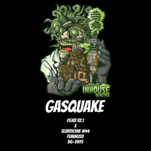 In House Genetics – Gasquake (Feminized)
