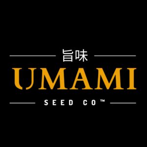 Umami Seed Co. – Zodaza (Feminized) - Image 2