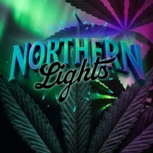 Barney’s Farm – Northern Lights (Feminized)
