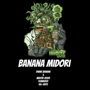 In House Genetics - Banana Midori (Feminized) (Gold Pack)