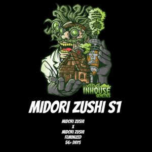 In House Genetics - Midori Zushi S1 (Feminized) (Gold Pack)