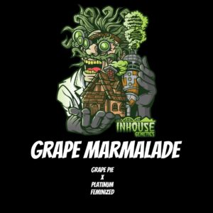In House Genetics - Grape Marmalade (Feminized)