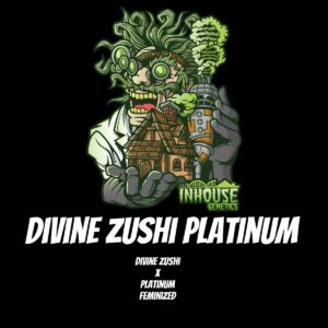 In House Genetics - Divine Zushi Platinum (Feminized)