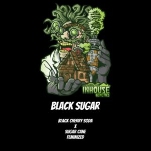 In House Genetics - Black Sugar (Feminized)