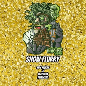 In House Genetics - Snow Flurry (Gold Pack) (Feminized)
