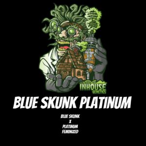 In House Genetics - Blue Skunk Platinum (Feminized)