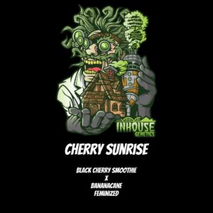 In House Genetics - Cherry Sunrise (Feminized)