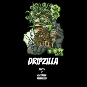 In House Genetics - Dripzilla (Feminized)