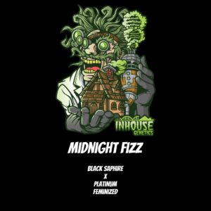 In House Genetics - Midnight Fizz (Feminized)