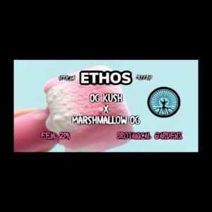 (Freebie) Ethos - OG Kush x Marshmallow OG (Feminized)