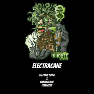 In House Genetics - Electracane (Feminized)
