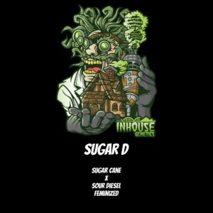 In House Genetics - Sugar D (Feminized)